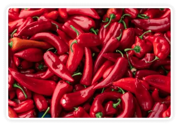 Pimiento rojo andaluz